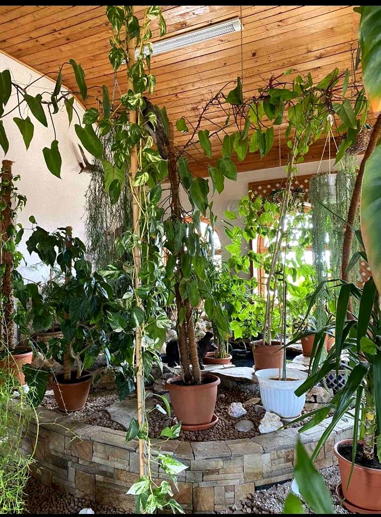 Будинок за адресою Кітобійний 2-й пров. (площа 447 м²) - Atlanta.ua - фото 7