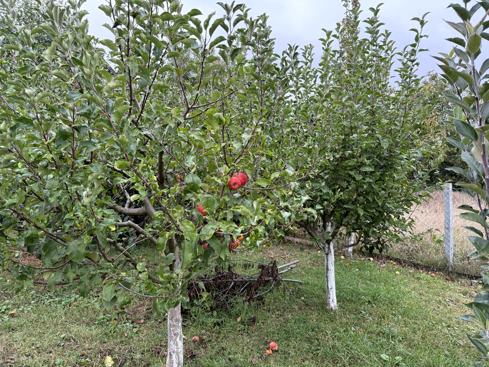 House by the address st. Sagaydachnogo (area 124 m²) - Atlanta.ua - photo 20