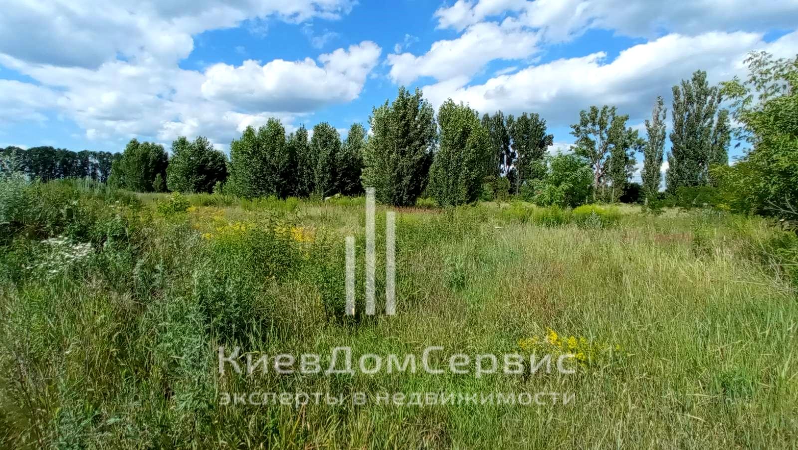 1771949180137153