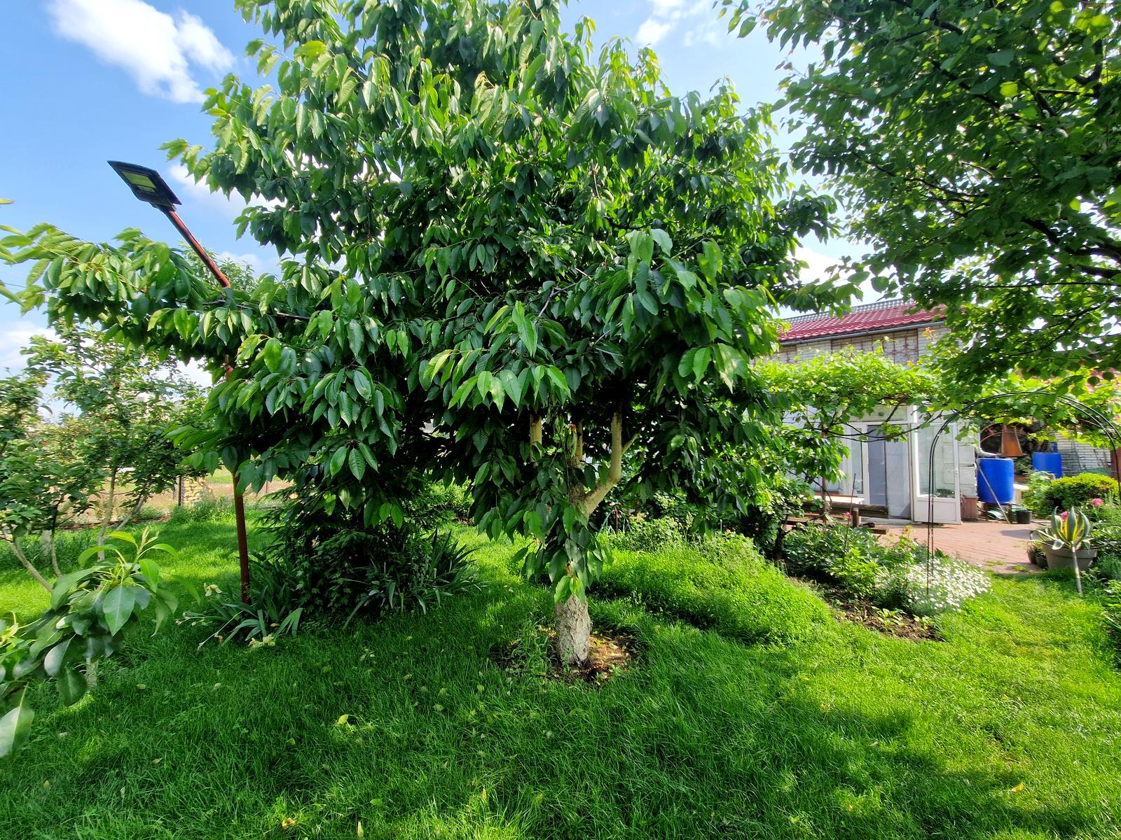 Дом по адресу ул. Лесная (площадь 68 м²) - Atlanta.ua - фото 37