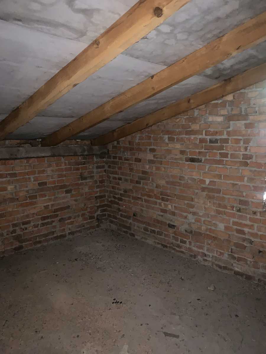 1800231845813169