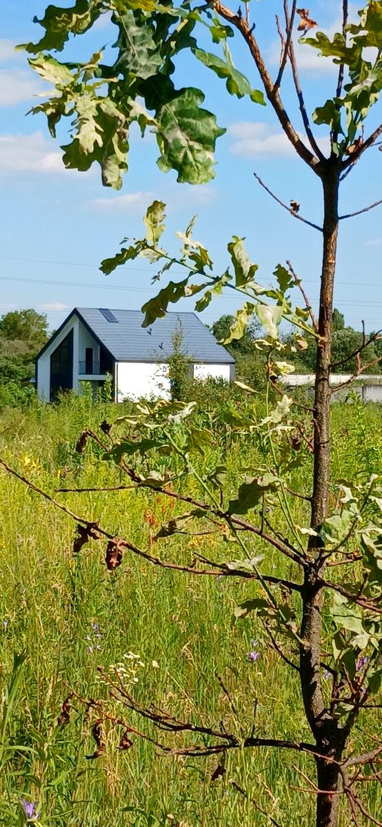 House by the address (area 165 m²) - Atlanta.ua - photo 24