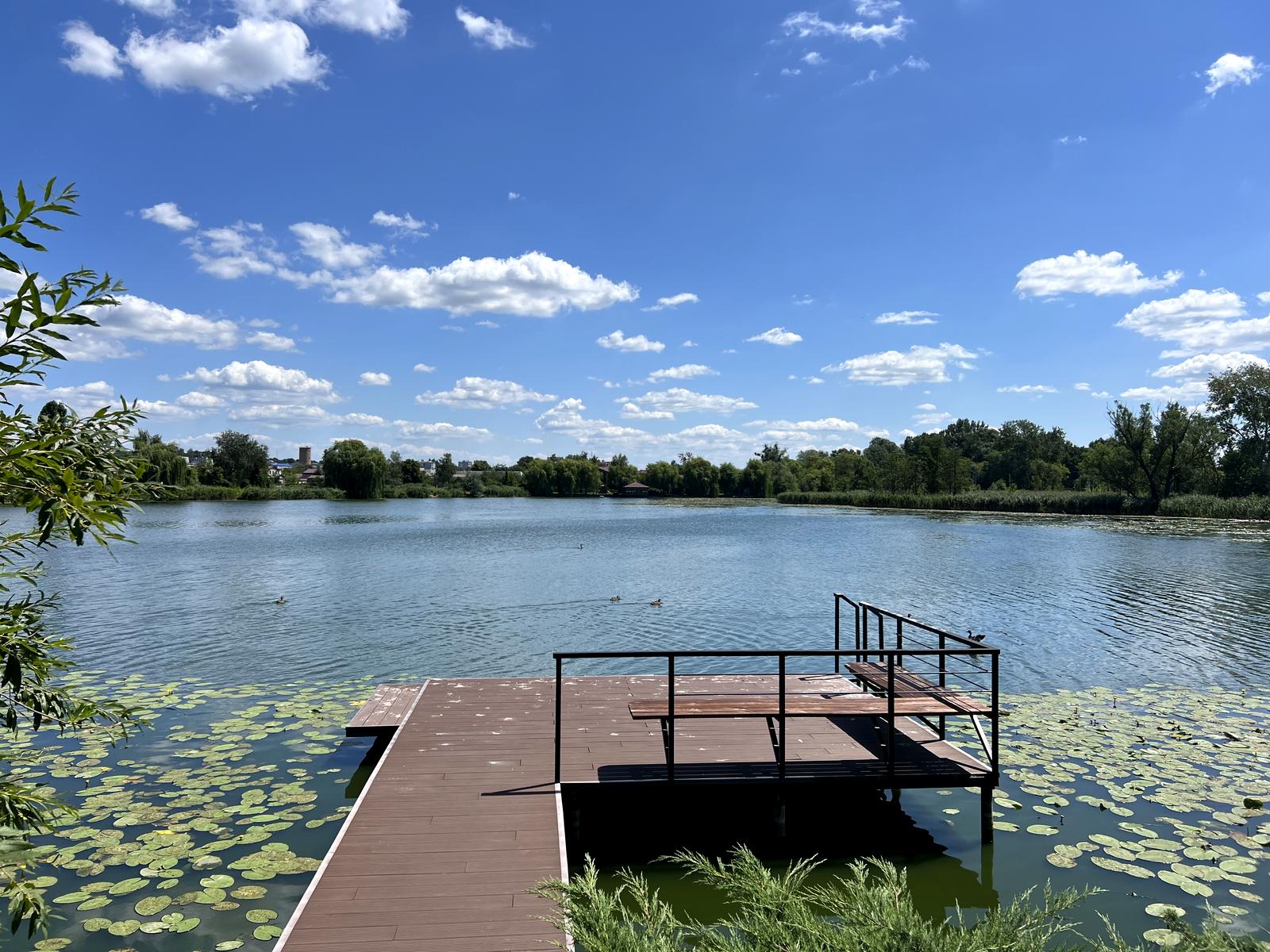 House by the address (area 230 m²) - Atlanta.ua - photo 16