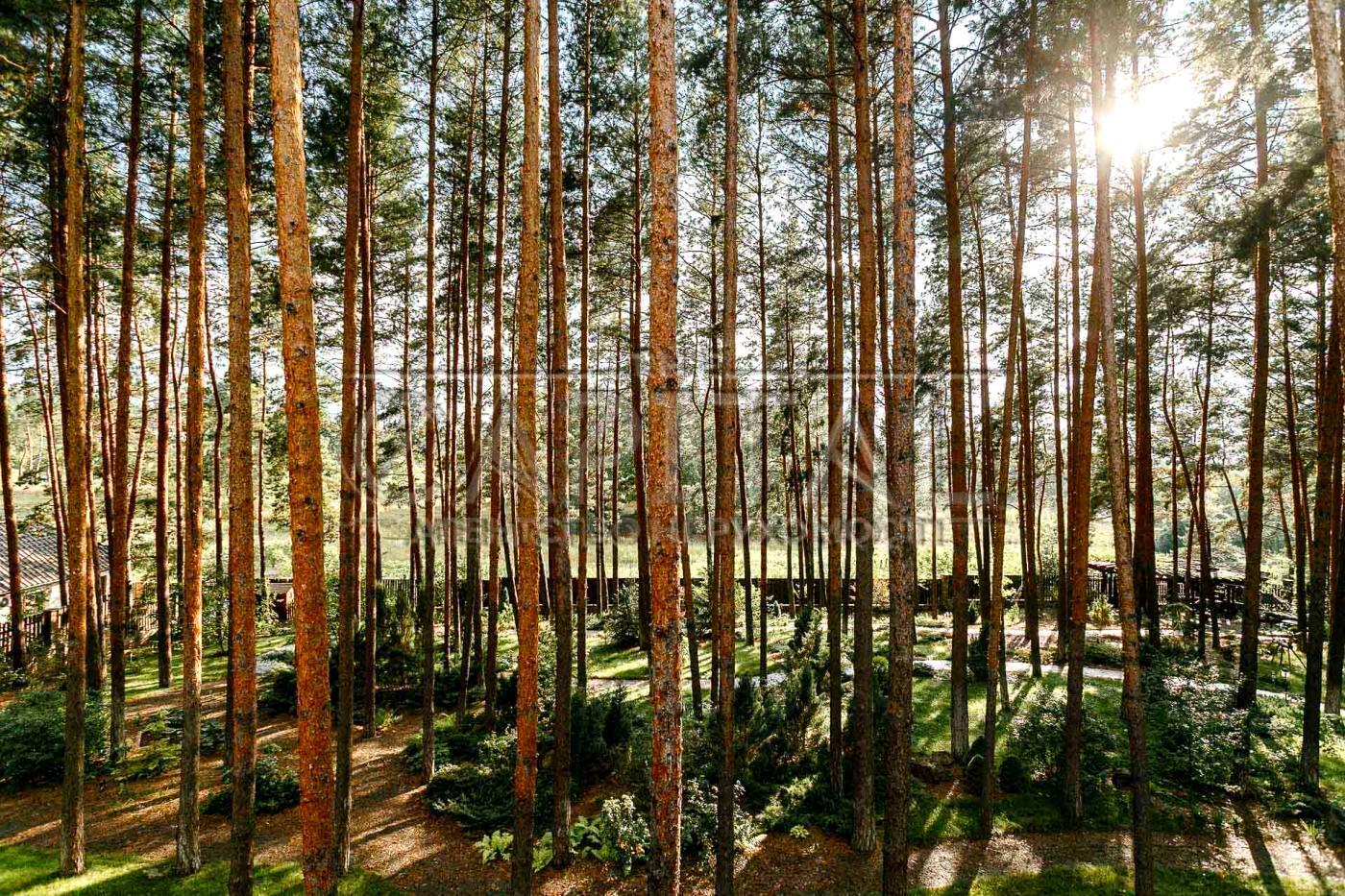 Будинок за адресою (площа 400 м²) - Atlanta.ua - фото 11