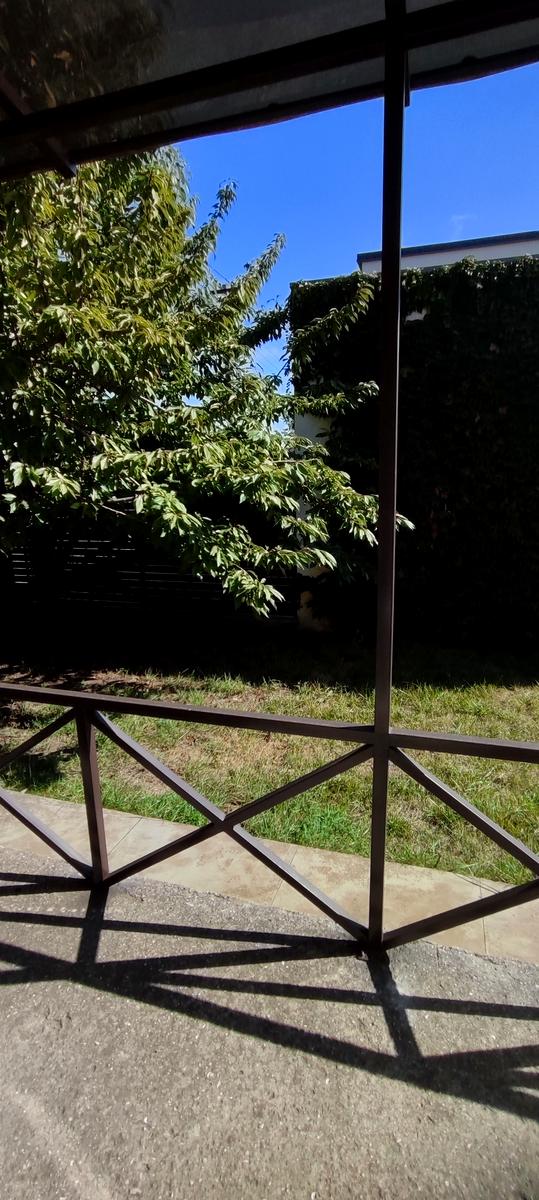 1846870971090829