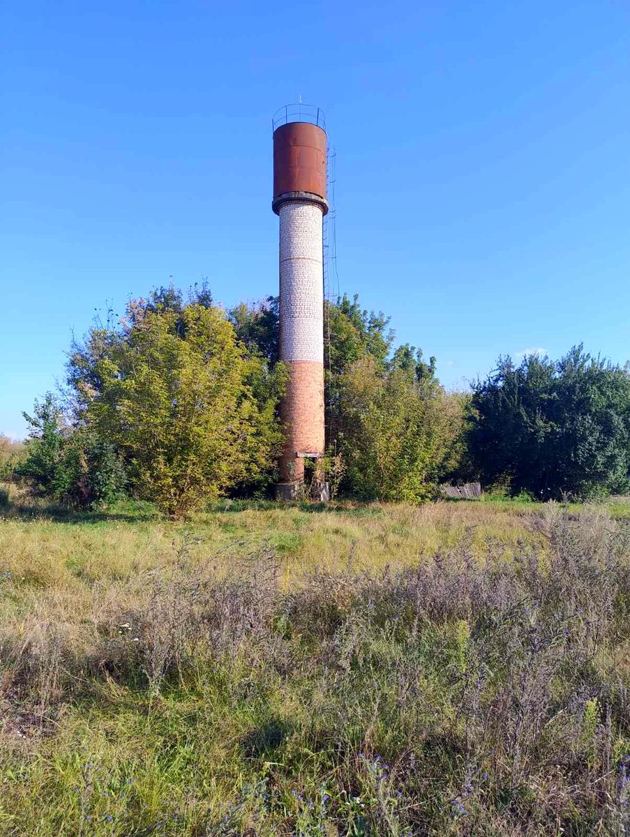 1846882736510306