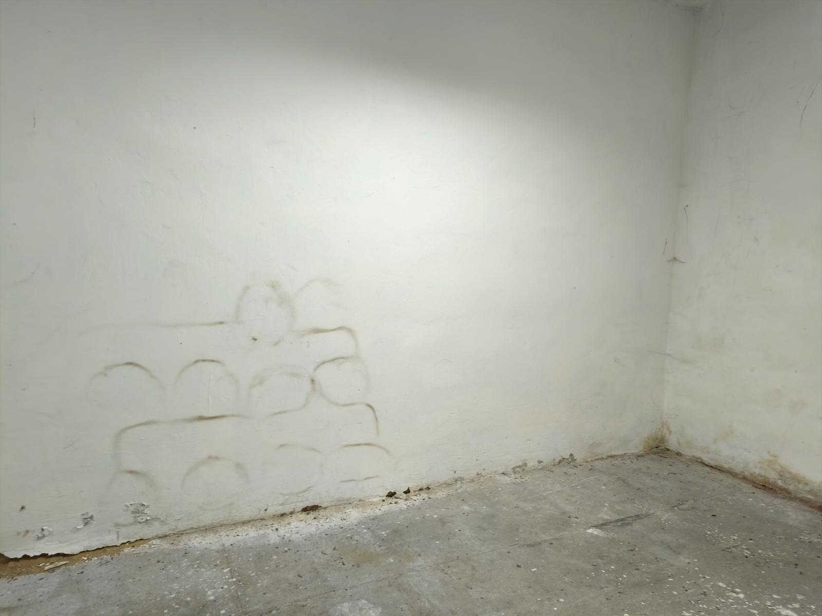 1846943889255604