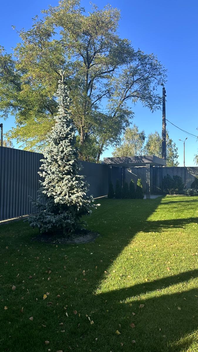 Будинок за адресою (площа 150 м²) - Atlanta.ua - фото 3