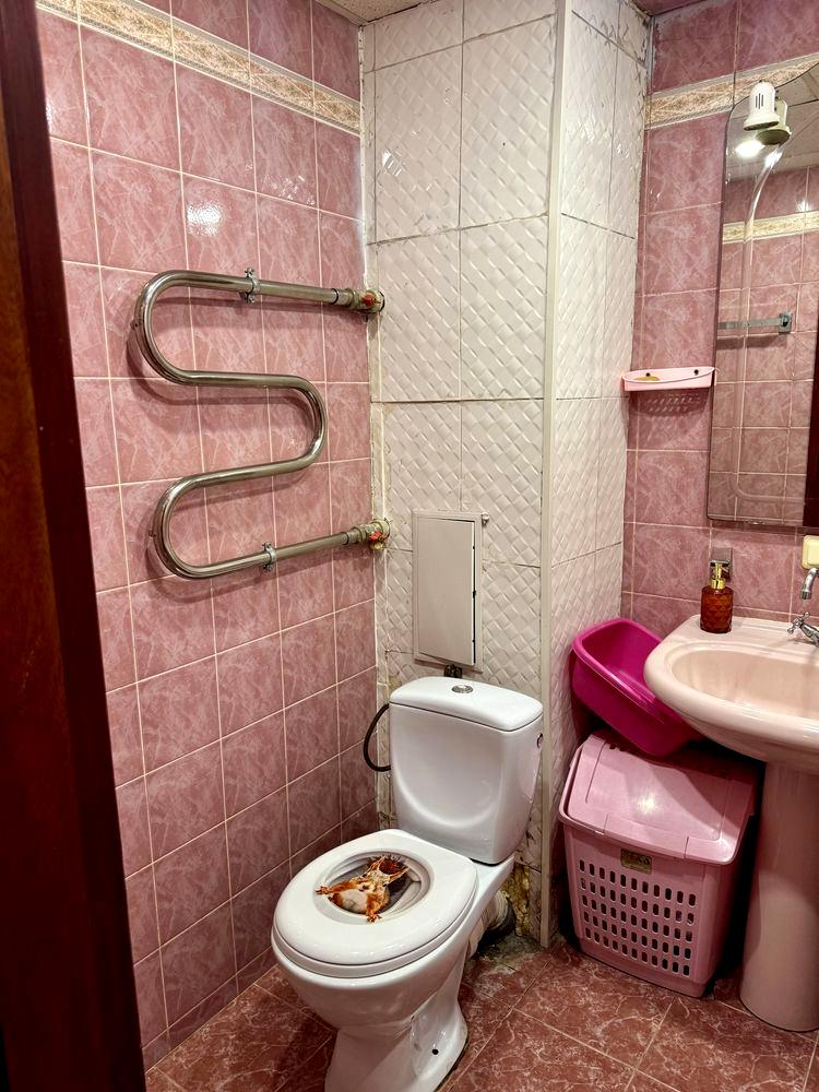 1847060996871270
