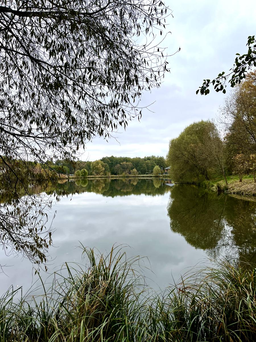 House by the address (area 363 m²) - Atlanta.ua - photo 18