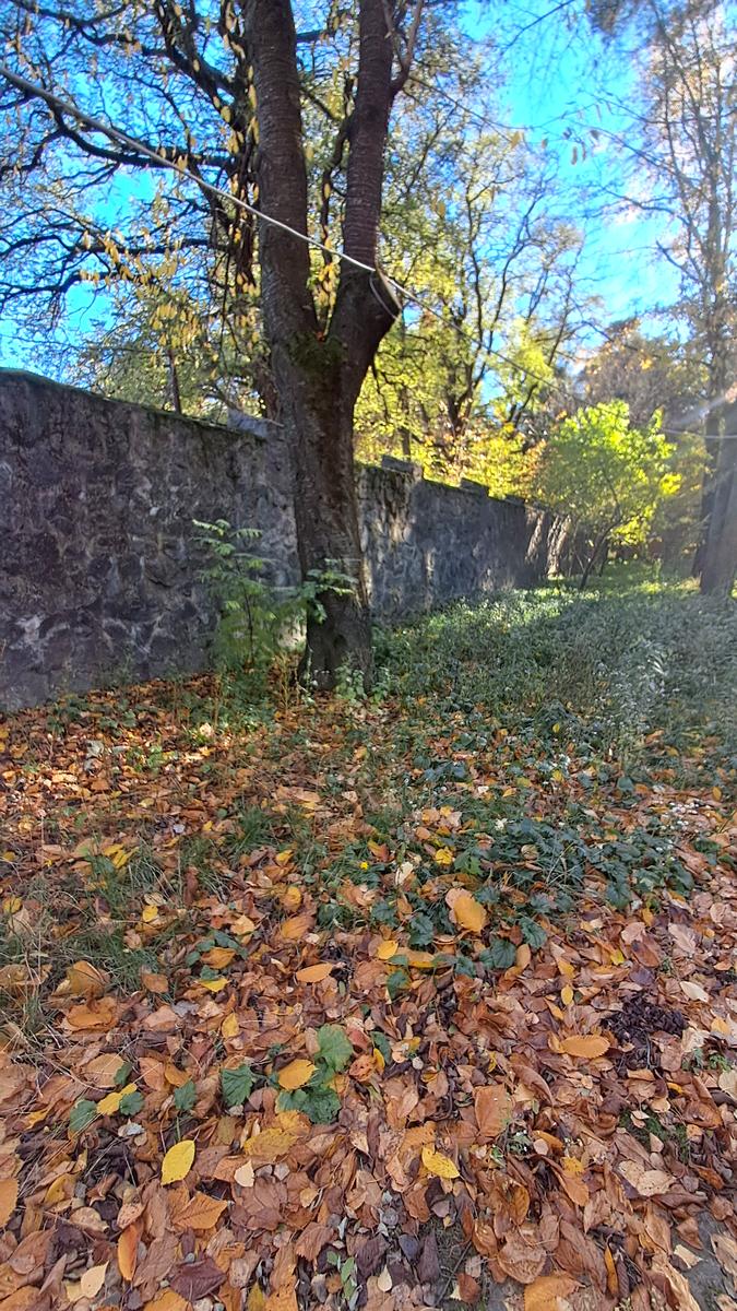 Коммерческая недвижимость по адресу ул. Соборная (площадь 316 м²) - Atlanta.ua - фото 31