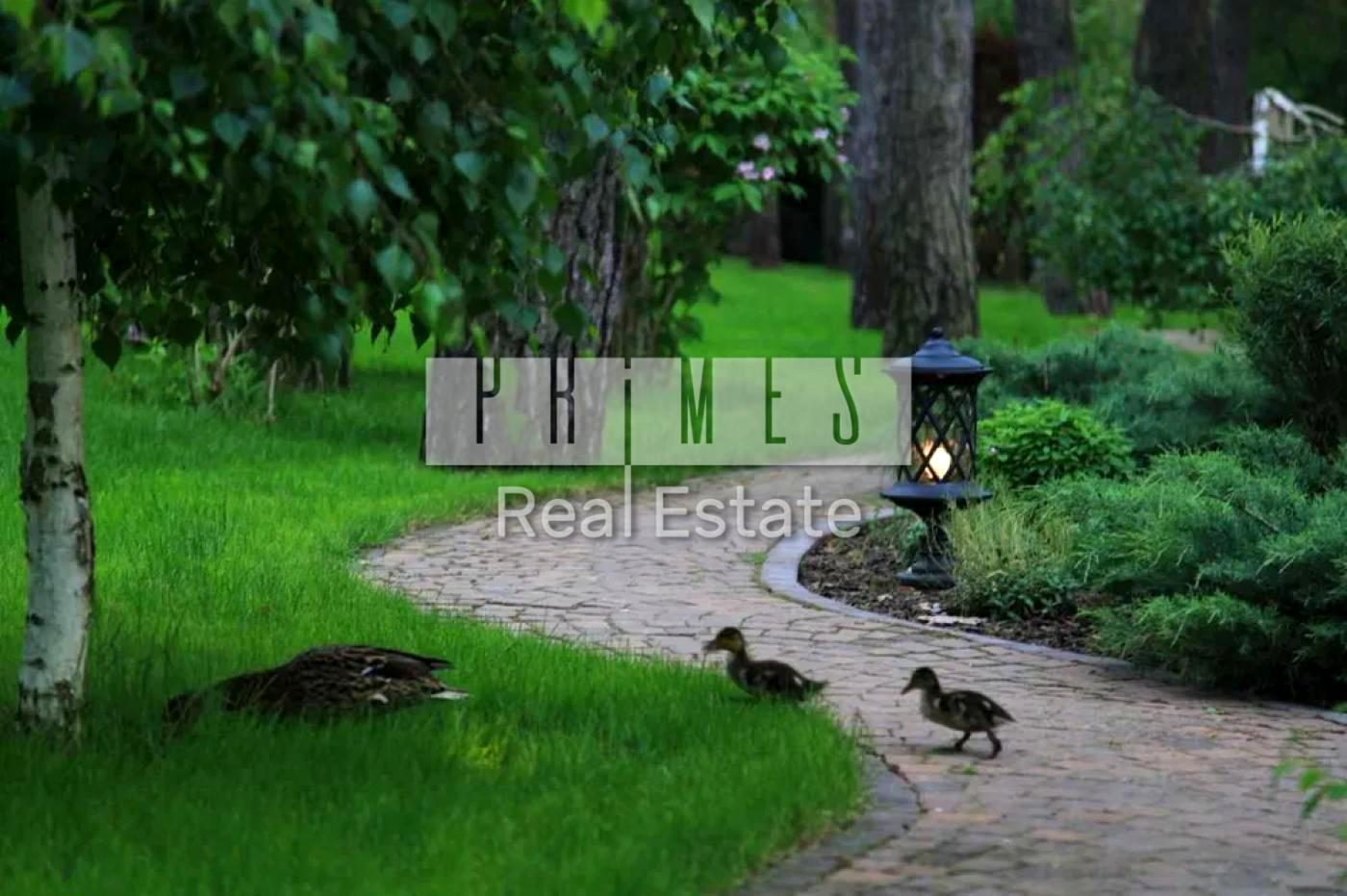 Дом по адресу ул. Михайловського (площадь 464 м²) - Atlanta.ua - фото 13