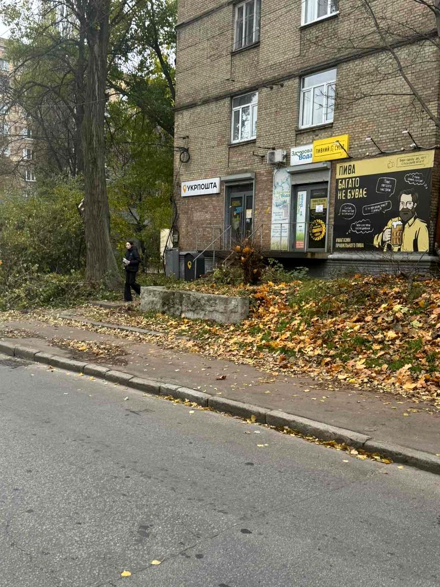 Коммерческая недвижимость по адресу ул. Златоустовская (площадь 75 м²) - Atlanta.ua - фото 10