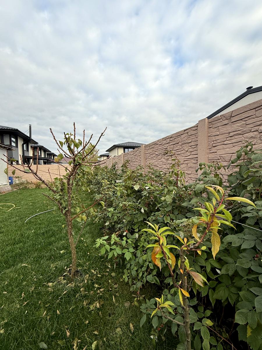 House by the address (area 220 m²) - Atlanta.ua - photo 10