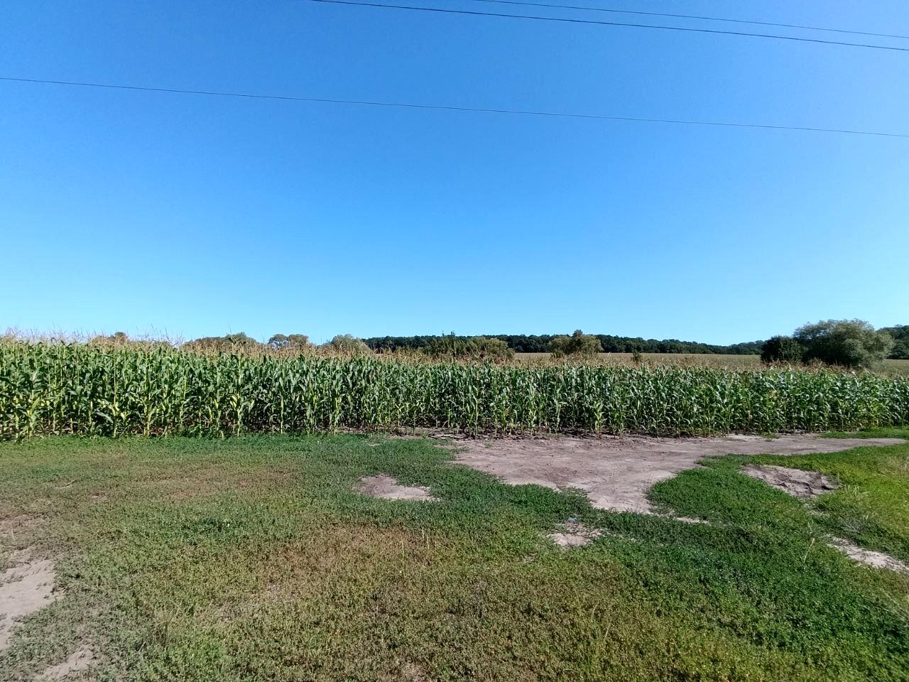 1847330675967541