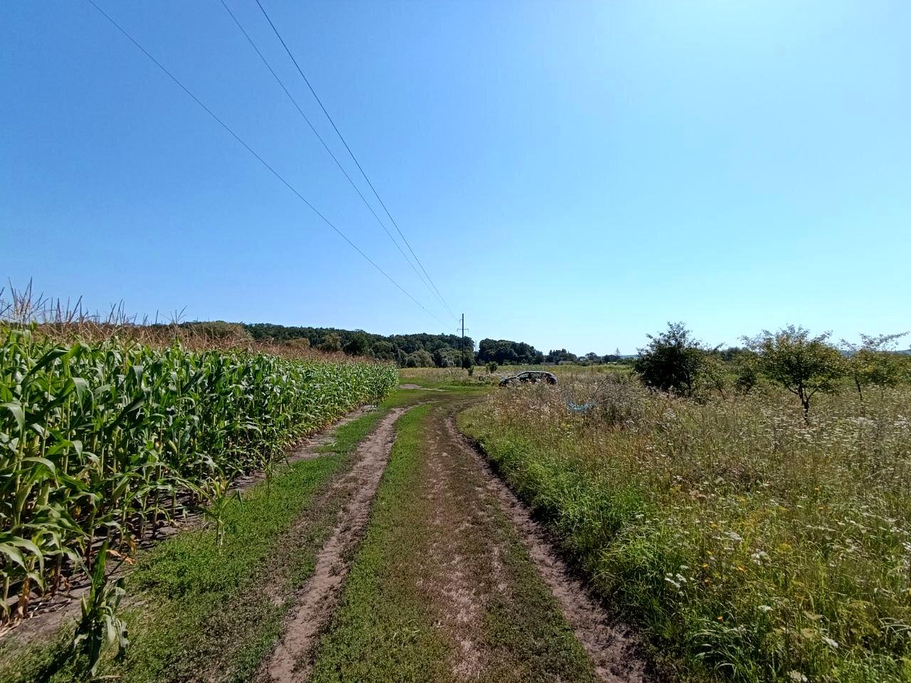 1847330675968166
