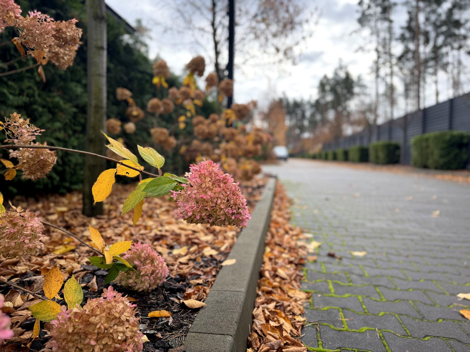 Дом по адресу ул. Гоголя (площадь 217 м²) - Atlanta.ua - фото 17