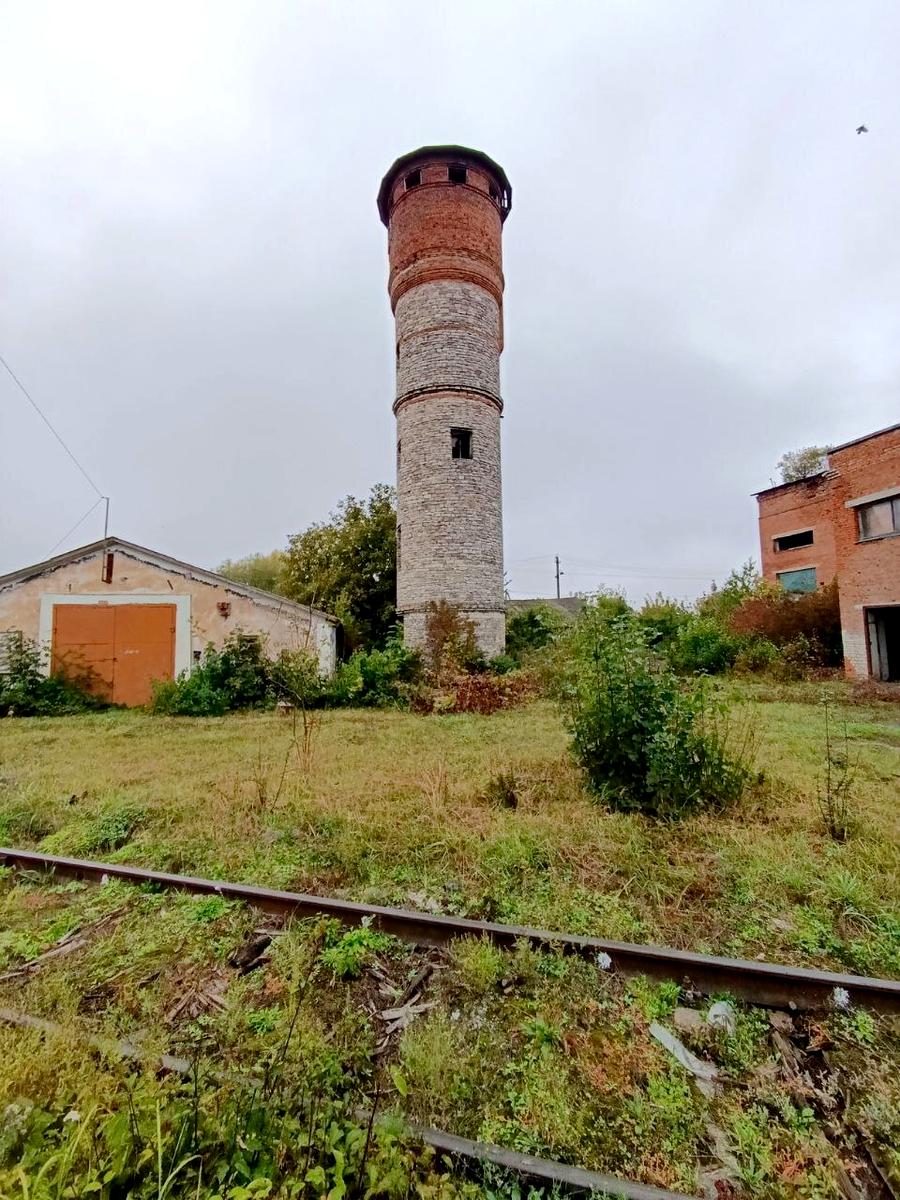 1847673453206998