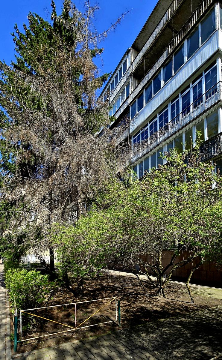 3-кімнатна квартира за адресою вул. Шовковична (площа 100 м²) - Atlanta.ua - фото 8