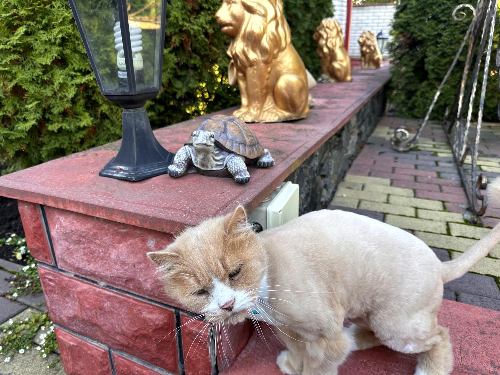 Будинок за адресою вул. Трублаїні (площа 300 м²) - Atlanta.ua - фото 21