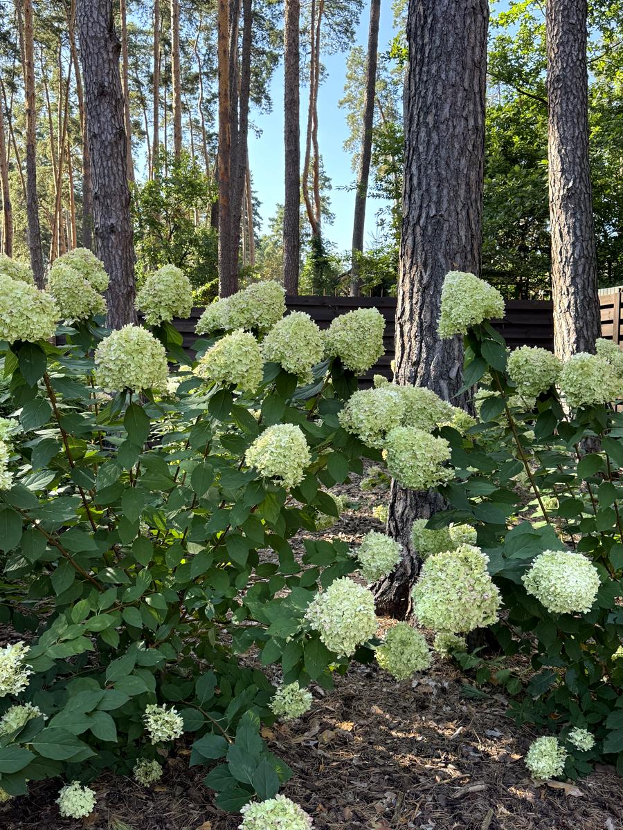 Дом по адресу ул. Институтская (площадь 150 м²) - Atlanta.ua - фото 22
