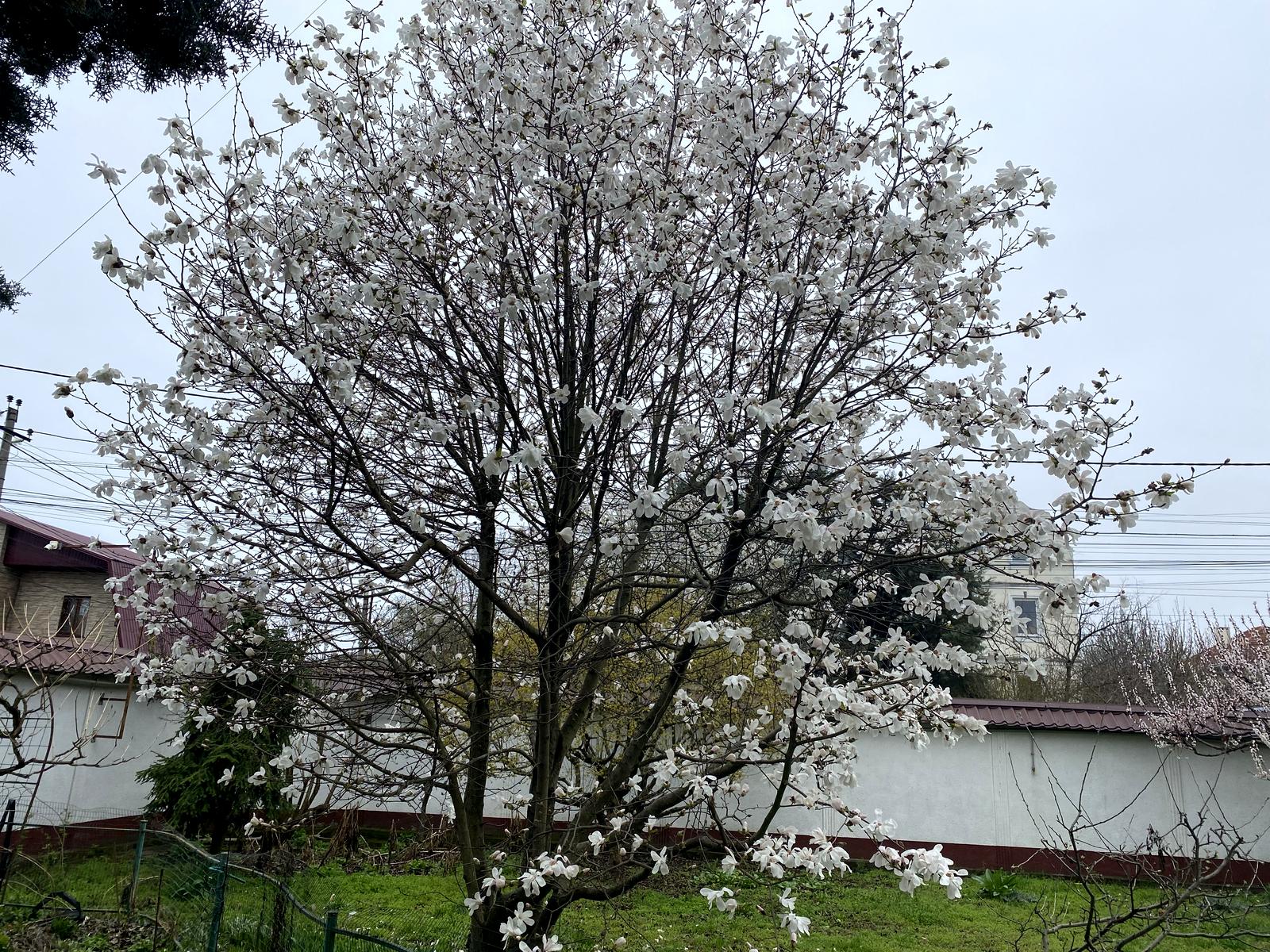 Дом по адресу Амундсена 2-й пер. (площадь 388,5 м²) - Atlanta.ua - фото 9