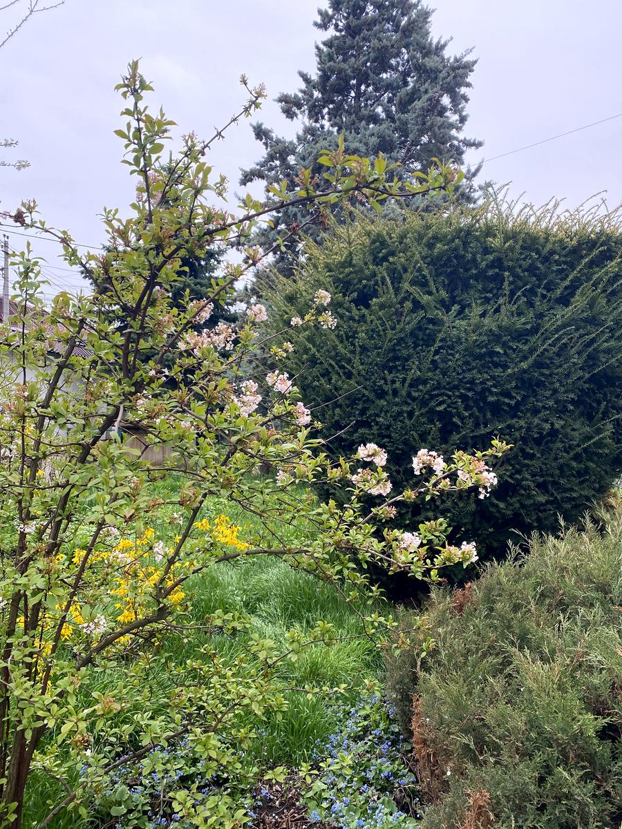 Дом по адресу Амундсена 2-й пер. (площадь 388,5 м²) - Atlanta.ua - фото 10