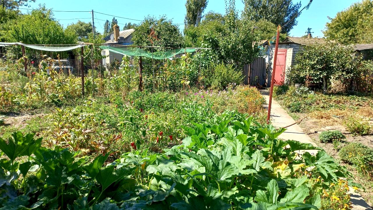 Будинок за адресою Чорноморський 8-й пров. (площа 81,8 м²) - Atlanta.ua - фото 46