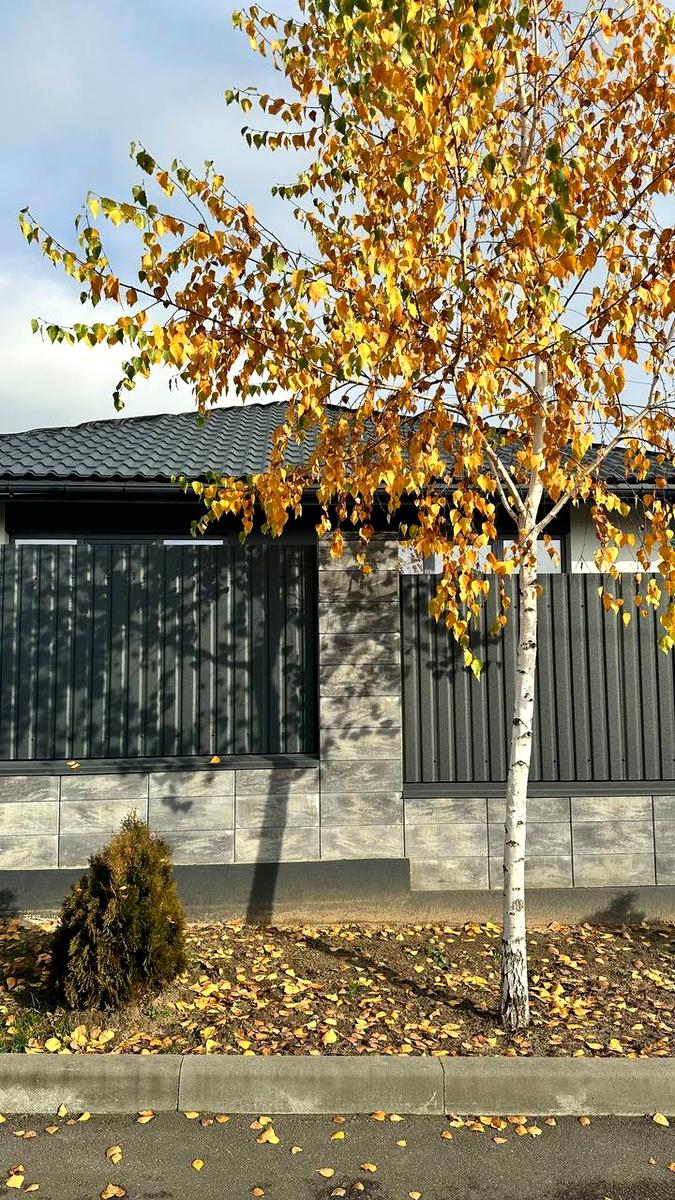 Будинок за адресою (площа 156 м²) - Atlanta.ua - фото 6