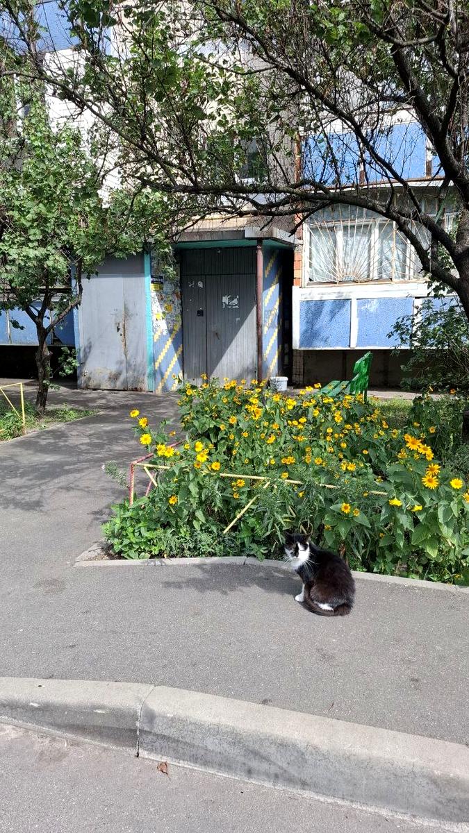 1-комнатная квартира по адресу ул. Милютенко (площадь 36 м²) - Atlanta.ua - фото 17