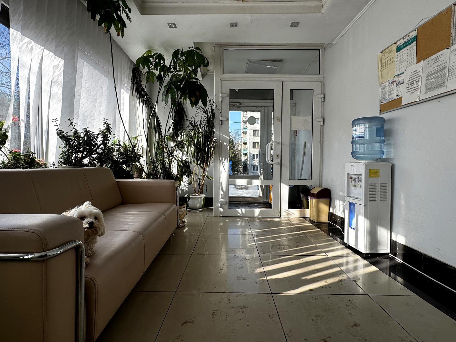 Commercial real estate at st. Nauchnaya ul (area 262,5 m²) - Atlanta.ua - photo 20