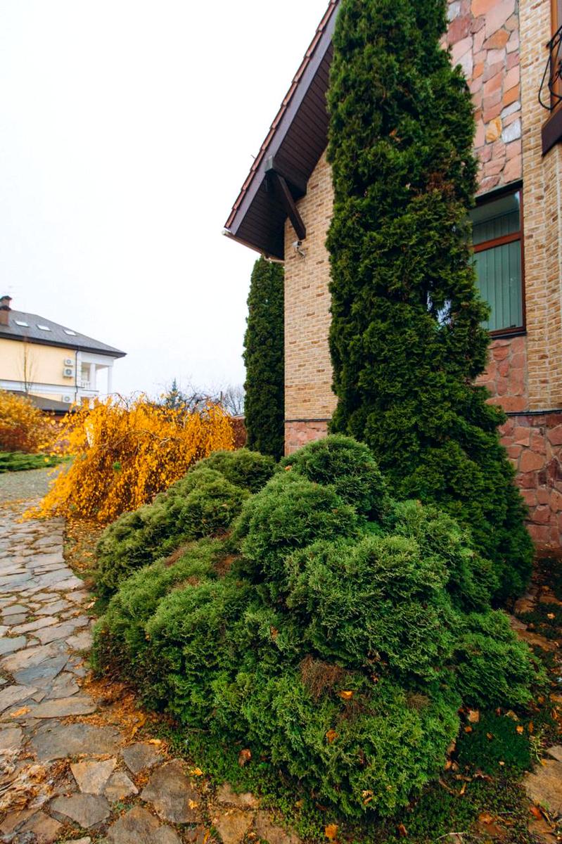 House by the address (area 371 m²) - Atlanta.ua - photo 8