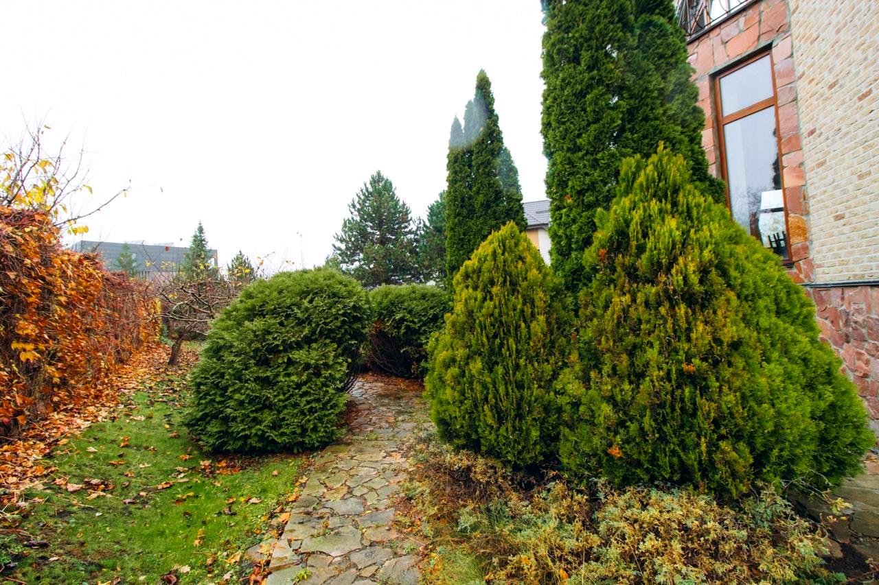 House by the address (area 371 m²) - Atlanta.ua - photo 10