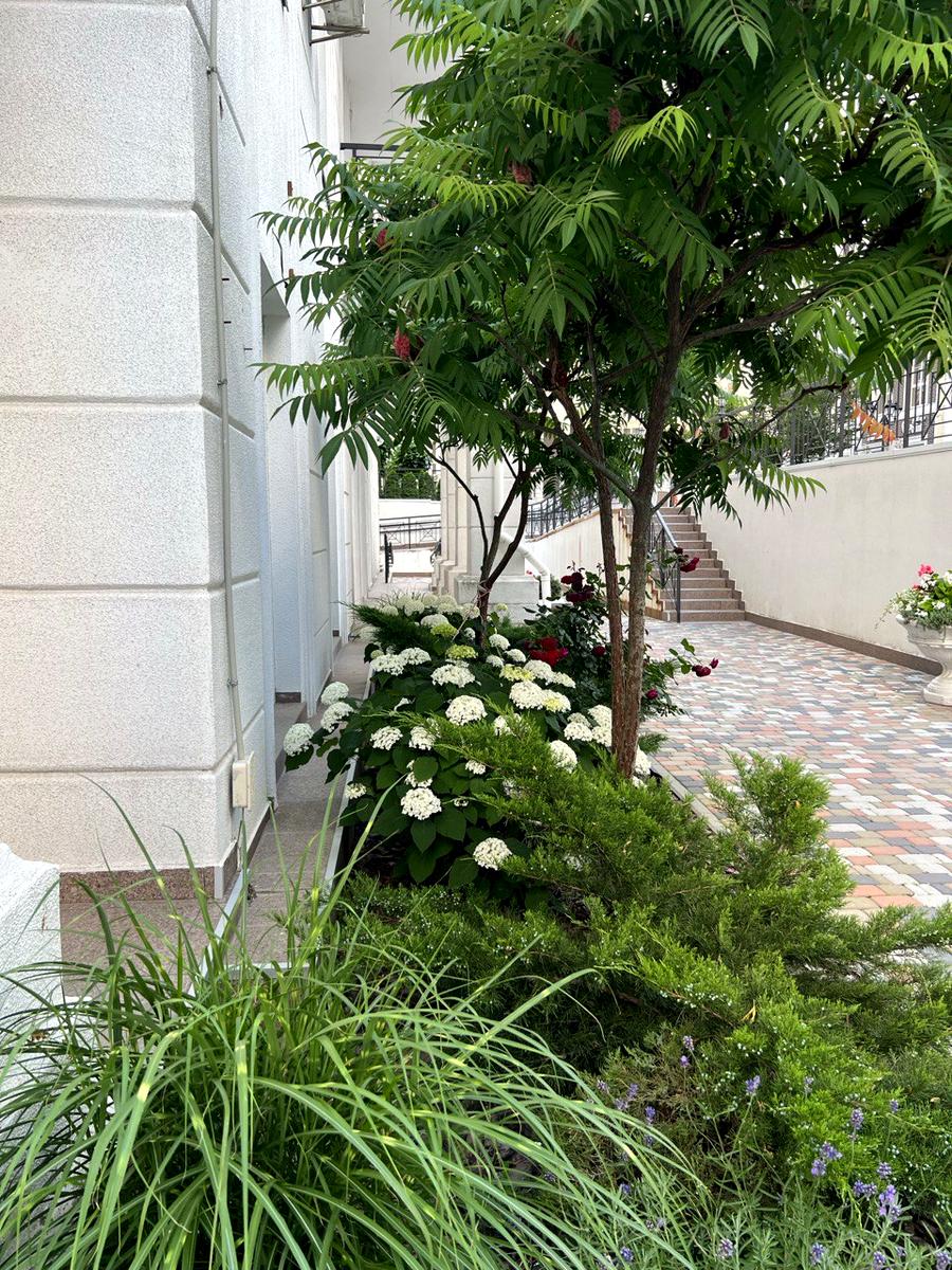 Commercial real estate at (area 26 m²) - Atlanta.ua - photo 8