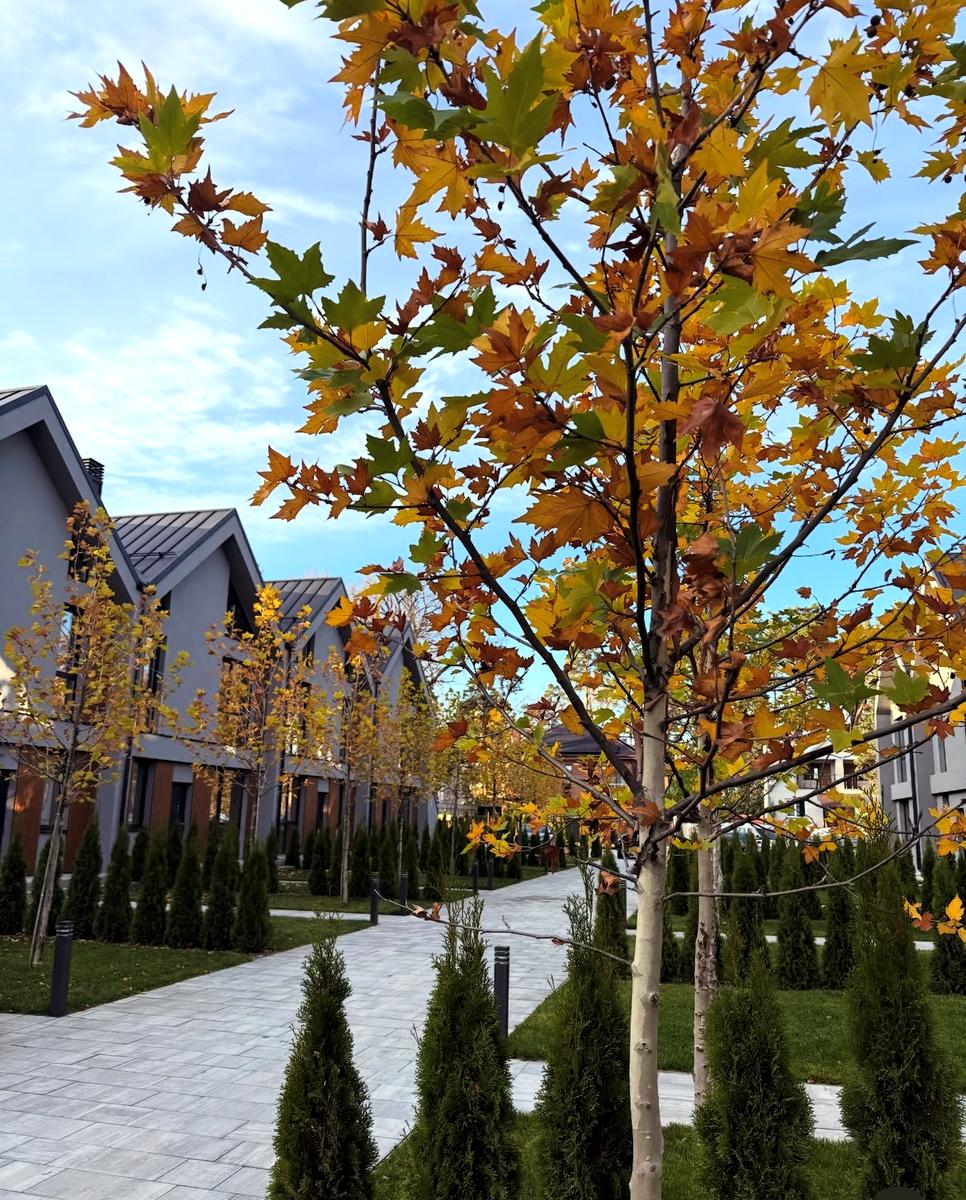 Дом по адресу ул. Вишневая (площадь 165 м²) - Atlanta.ua - фото 7