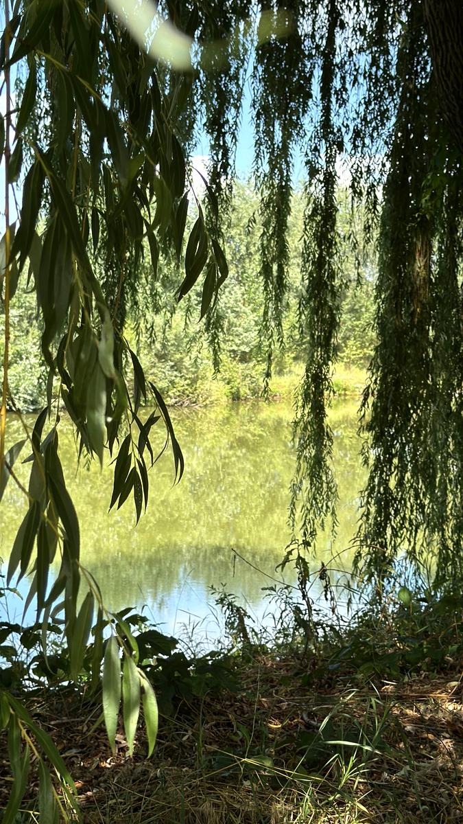 Дом по адресу (площадь 196 м²) - Atlanta.ua - фото 6