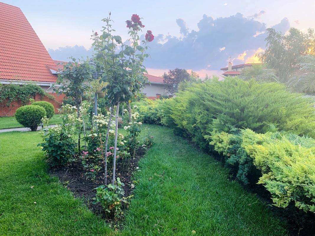 House by the address st. Koroleva ak (area 565 m²) - Atlanta.ua - photo 18