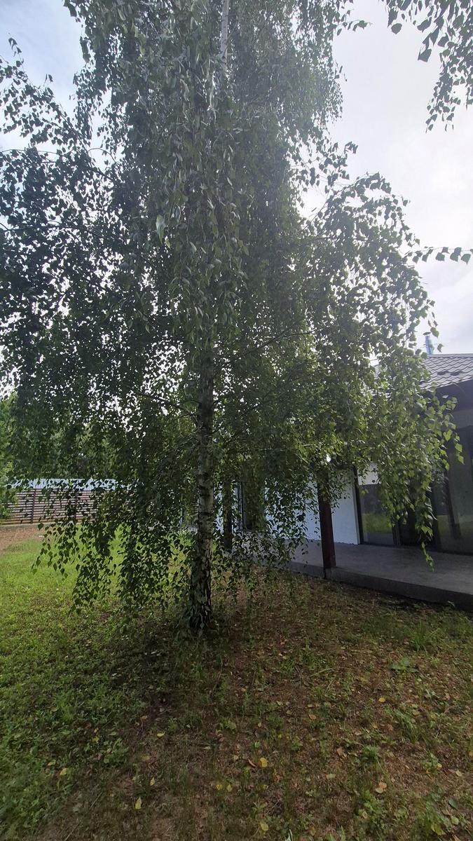 Дом по адресу ул. Мудрого Я. (площадь 110 м²) - Atlanta.ua - фото 23