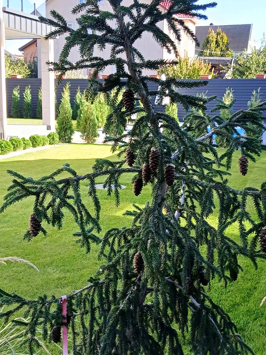 House by the address st. Sobornaya (area 136 m²) - Atlanta.ua - photo 4