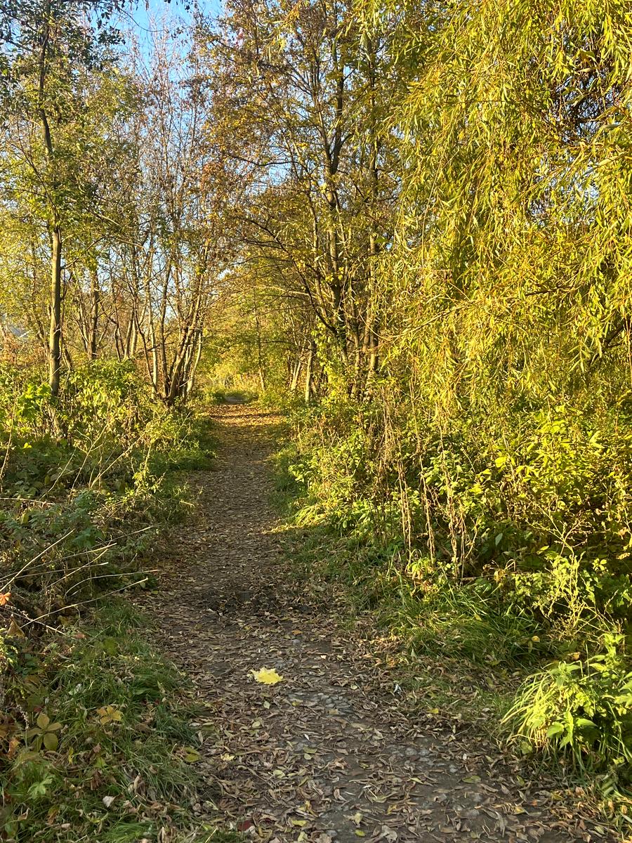 3-комнатная квартира по адресу ул. Академика Янгеля (площадь 68,8 м²) - Atlanta.ua - фото 13
