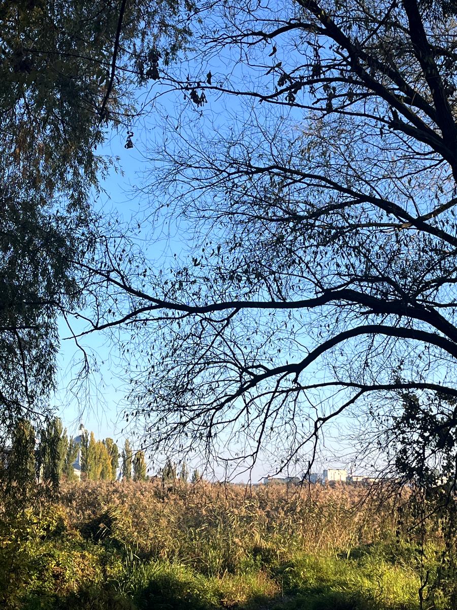 3-комнатная квартира по адресу ул. Академика Янгеля (площадь 68,8 м²) - Atlanta.ua - фото 14