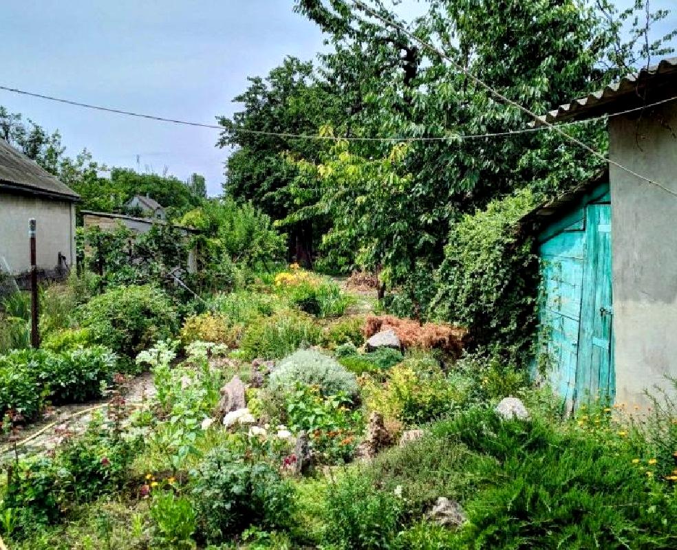 Будинок за адресою вул. Проценка (площа 26 м²) - Atlanta.ua - фото 3