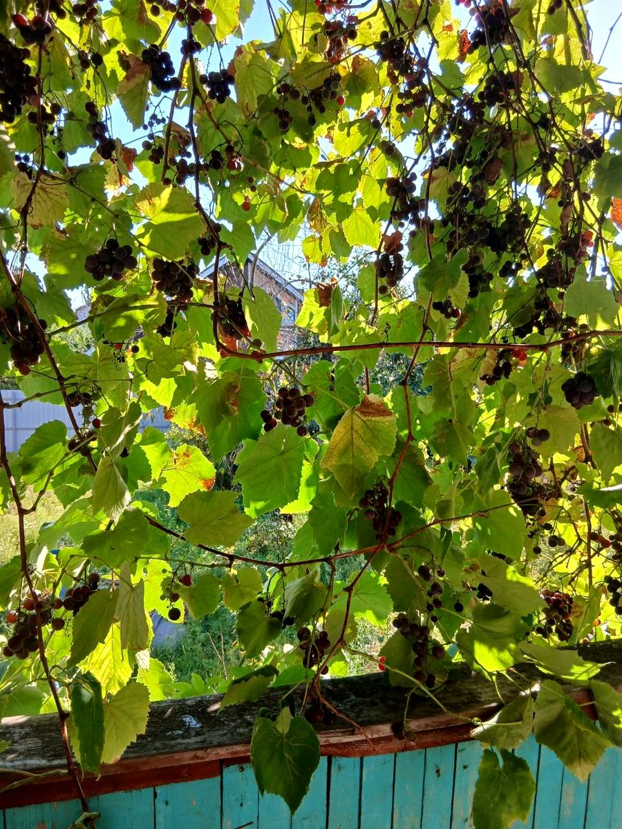 Дом по адресу (площадь 30 м²) - Atlanta.ua - фото 4