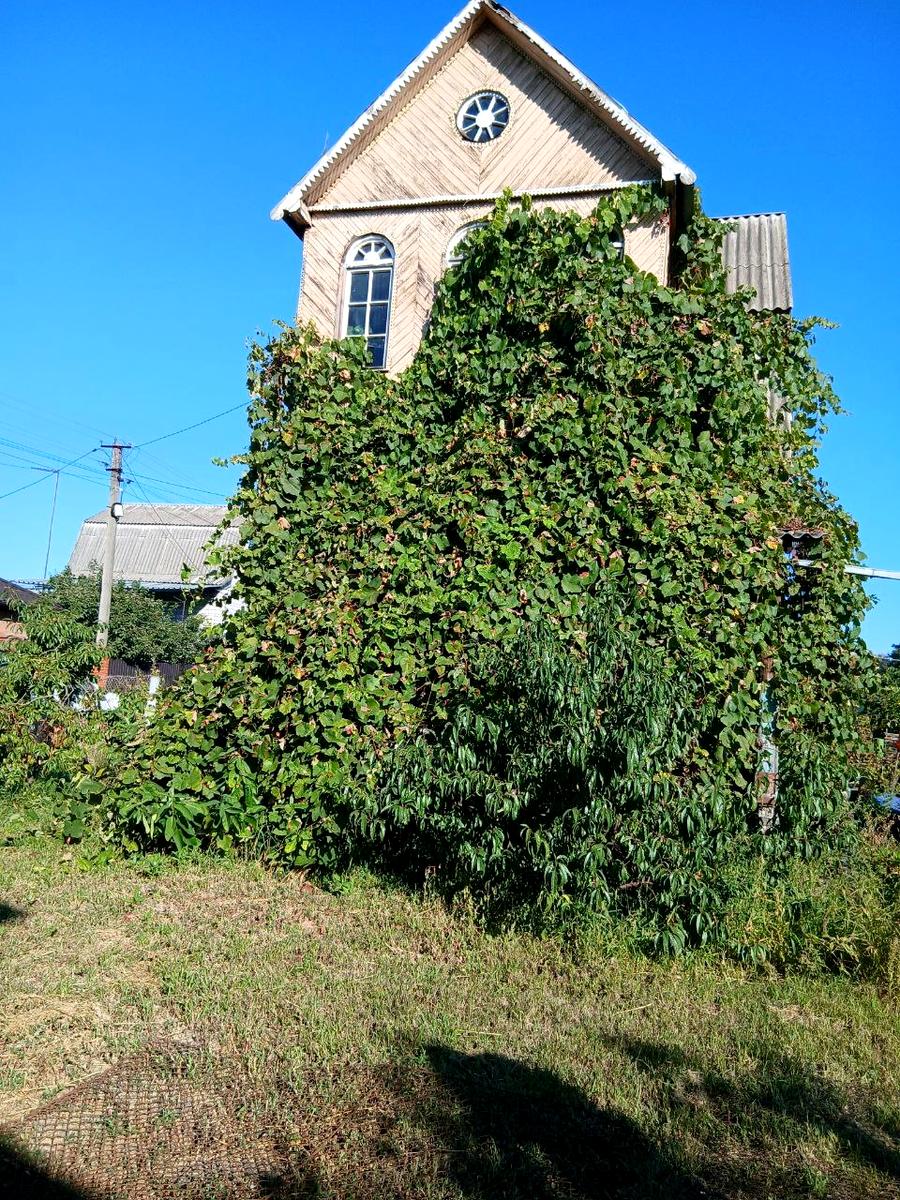Дом по адресу (площадь 30 м²) - Atlanta.ua - фото 2