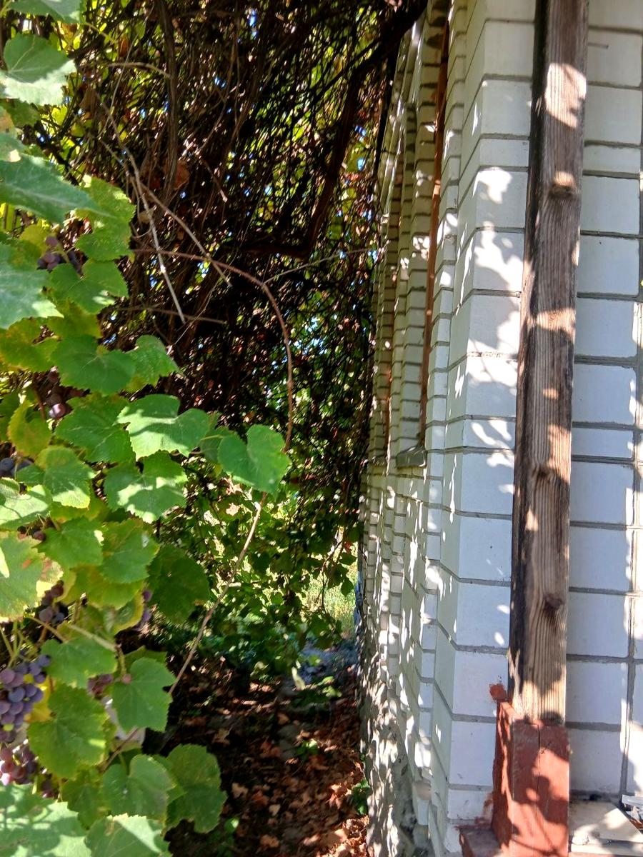 Дом по адресу (площадь 30 м²) - Atlanta.ua - фото 13