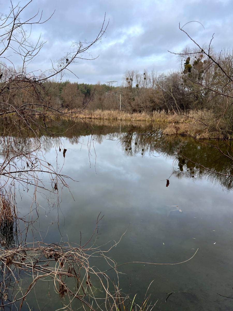 Дом по адресу (площадь 79 м²) - Atlanta.ua - фото 2