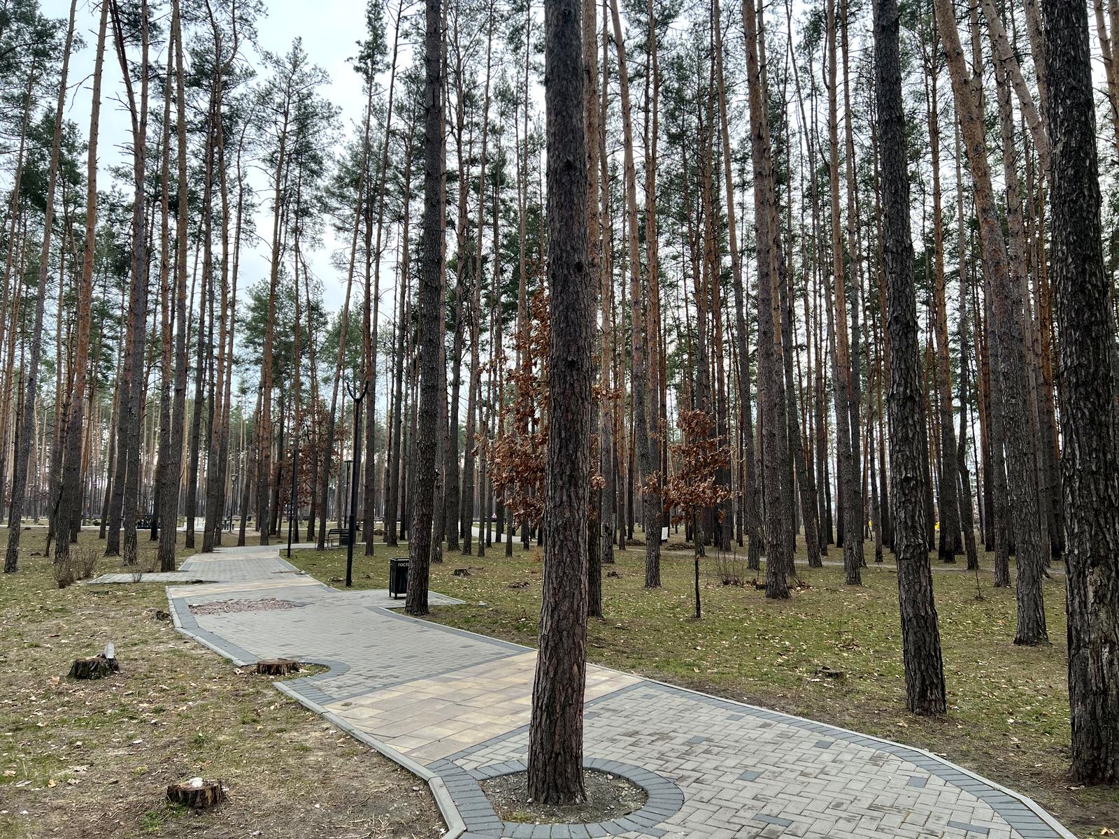 House by the address (area 128 m²) - Atlanta.ua - photo 48