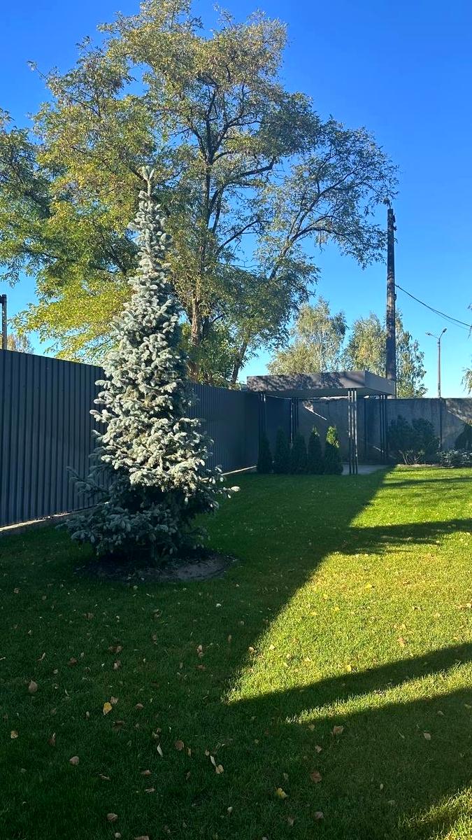 Будинок за адресою вул. Соборна (площа 250 м²) - Atlanta.ua - фото 3