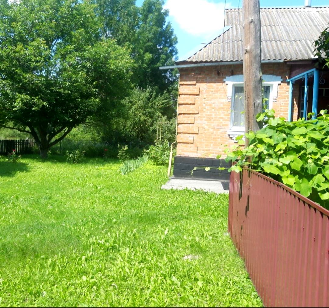 1849842429075466