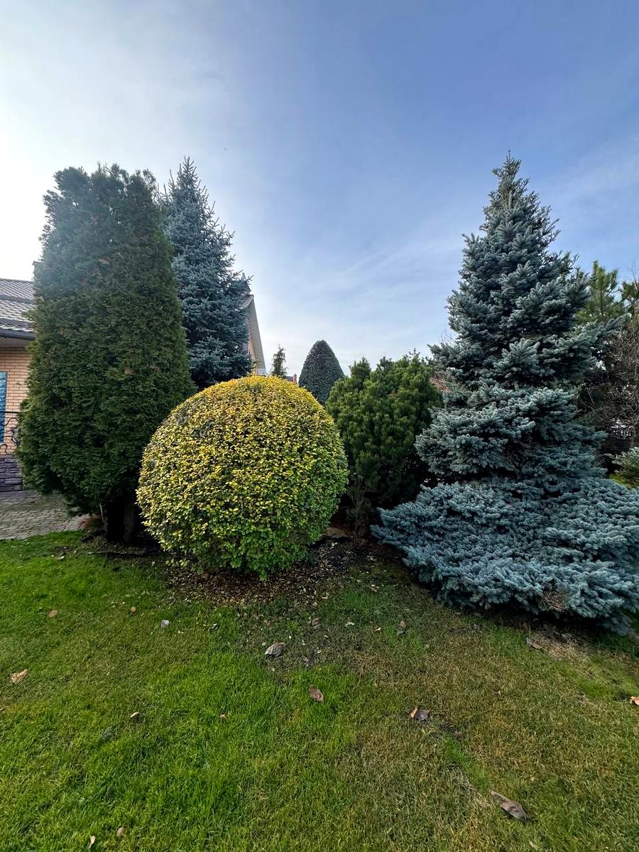 Будинок за адресою (площа 240 м²) - Atlanta.ua - фото 21